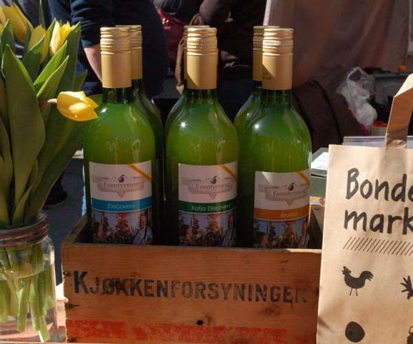 Bilde fra Nordre Lindheim/Eventyrmost