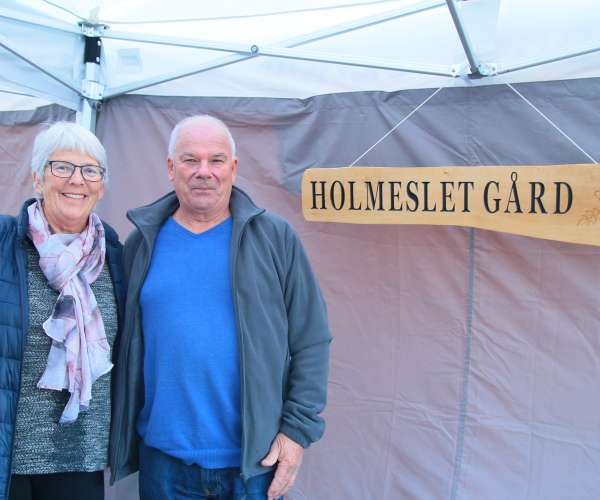 Bilde fra Holmeslet Gård