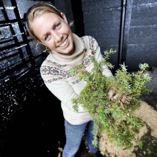 Bilde av Skaper gull av grønne enger