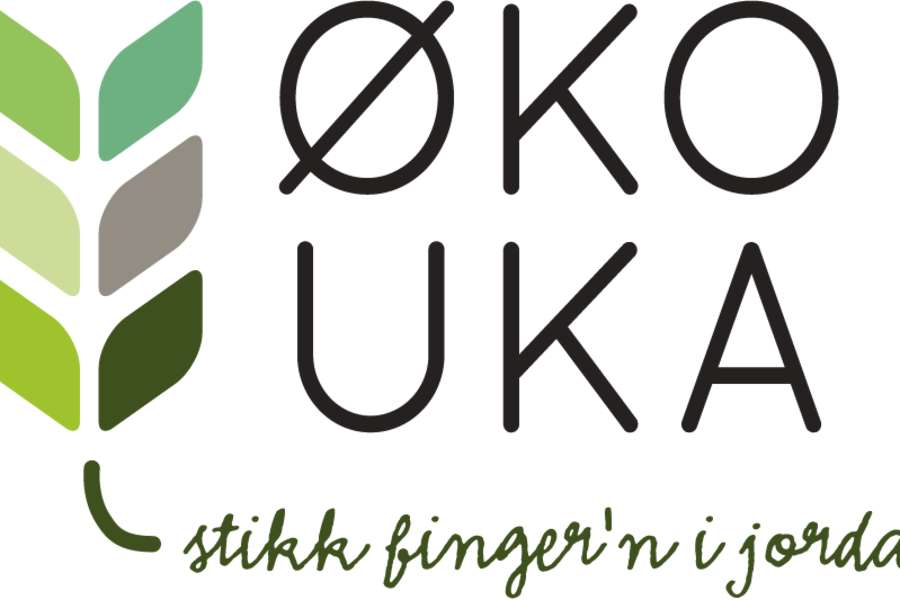 Økouka er i gang