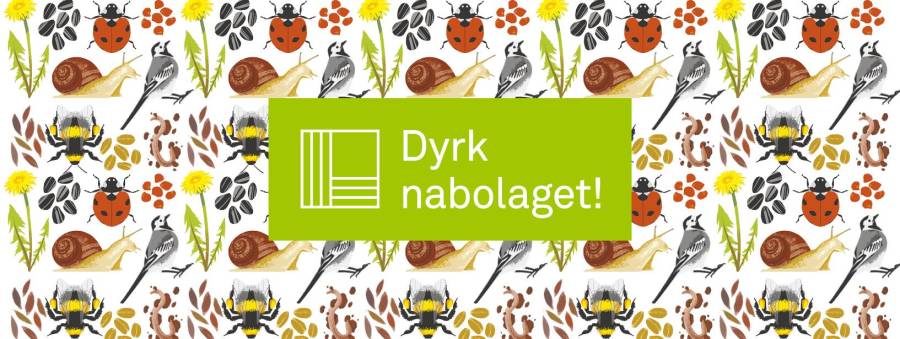 Bilde fra Oslo & omegn