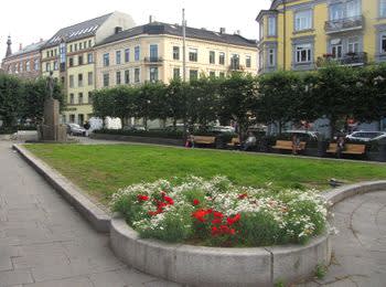 Bilde fra Oslo & omegn