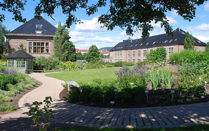 Bilde fra Oslo & omegn