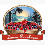 Logo til Linnea Finnskogen