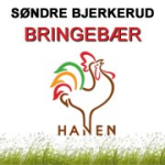 Logo til Søndre Bjerkerud