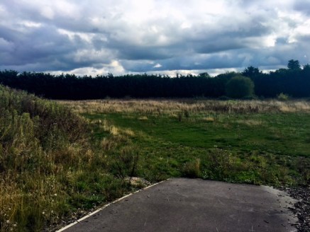 The land is mainly flat with a bund to the western boundary of the site. The remaining boundaries are marked with conifer hedges. We understand there is full access to the site via an adoptable road.

There is a pond within the site but this serves n...