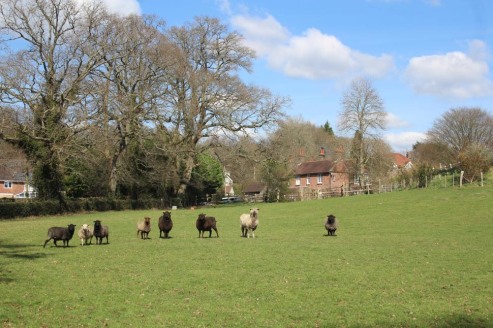 A residential and equestrian property with a detached seven bedroom Victorian farmhouse. The property extends in all to about 19 acres.