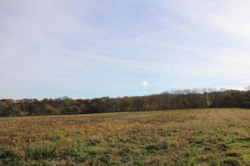 A parcel of gently sloping agricultural land with a woodland shaw. In all about 34.74 acres (14.