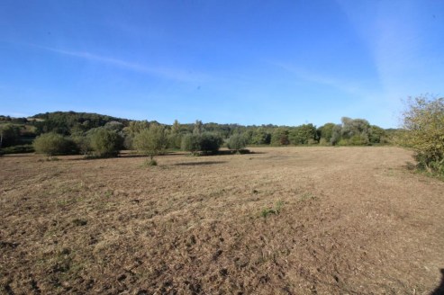 A single parcel of pasture on the outskirts of Langton Green village. Permission for an agricultural building. Lane frontage - No public footpaths. In all about 8.76 acres (3.