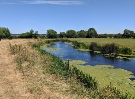 Approximately ½ a mile of single bank fishing on the beat running south-eastwards from the road bridge at Cross-at-Hand. Estimated room for over 80 pegs and off-road parking for cars through a locked and gated access.