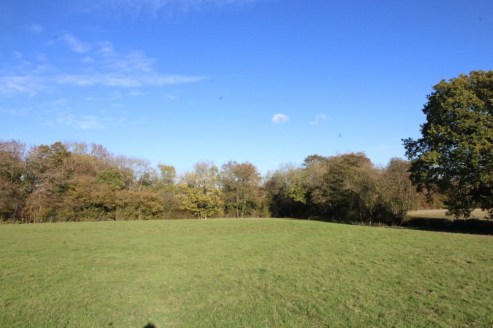 Pasture with a woodland shaw and road frontage to the A21. In all about 6.6 acres.