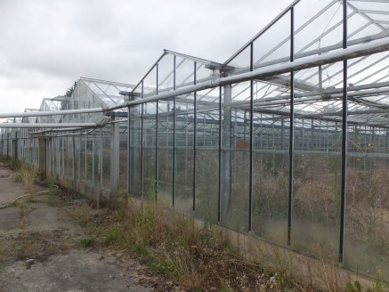 Freehold For Sale 

3.06 hectares (7.56 acres) 

Glasshouse area approximately 62,000ft&sup2; 

Agricultural sheds 280.33m&sup2; (3017ft&sup2;) 

Sale price &pound;375,000