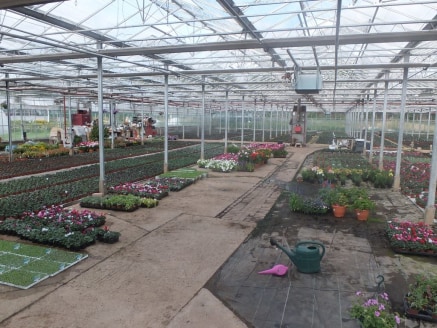 Business Opportunity to Rent a Working Ornamental Nursery

1.57 hectares (3.9 acres) 

Vehicular access to the B4215 2478m&sup2; (25600ft&sup2;) Heated Venlo glass with thermal screens 985m&sup2; (10600ft&sup2;) heated assisted glass with fan ventila...