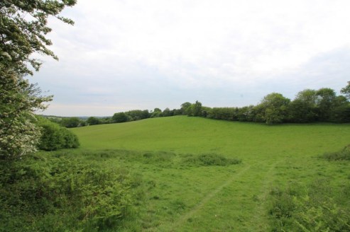 A non-residential agricultural holding located on the village outskirts. Hedge enclosed pasture fields with woodland shaws. In all about 94 acres.