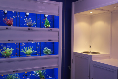 Acting on behalf of the owners, Carigiet Cowen are delighted to be marketing Cumbria Aquapets which has operated from Fisher Street since 1988.<br><br>The well established business currently specialises in the sale of tropical fish and cold water pon...