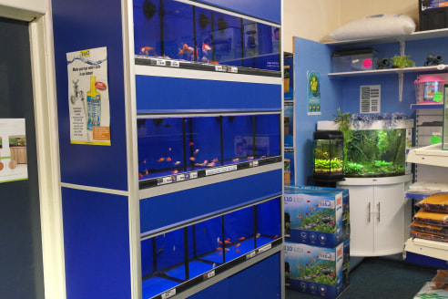 Acting on behalf of the owners, Carigiet Cowen are delighted to be marketing Cumbria Aquapets which has operated from Fisher Street since 1988.<br><br>The well established business currently specialises in the sale of tropical fish and cold water pon...