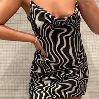 Zara Black And White Dress