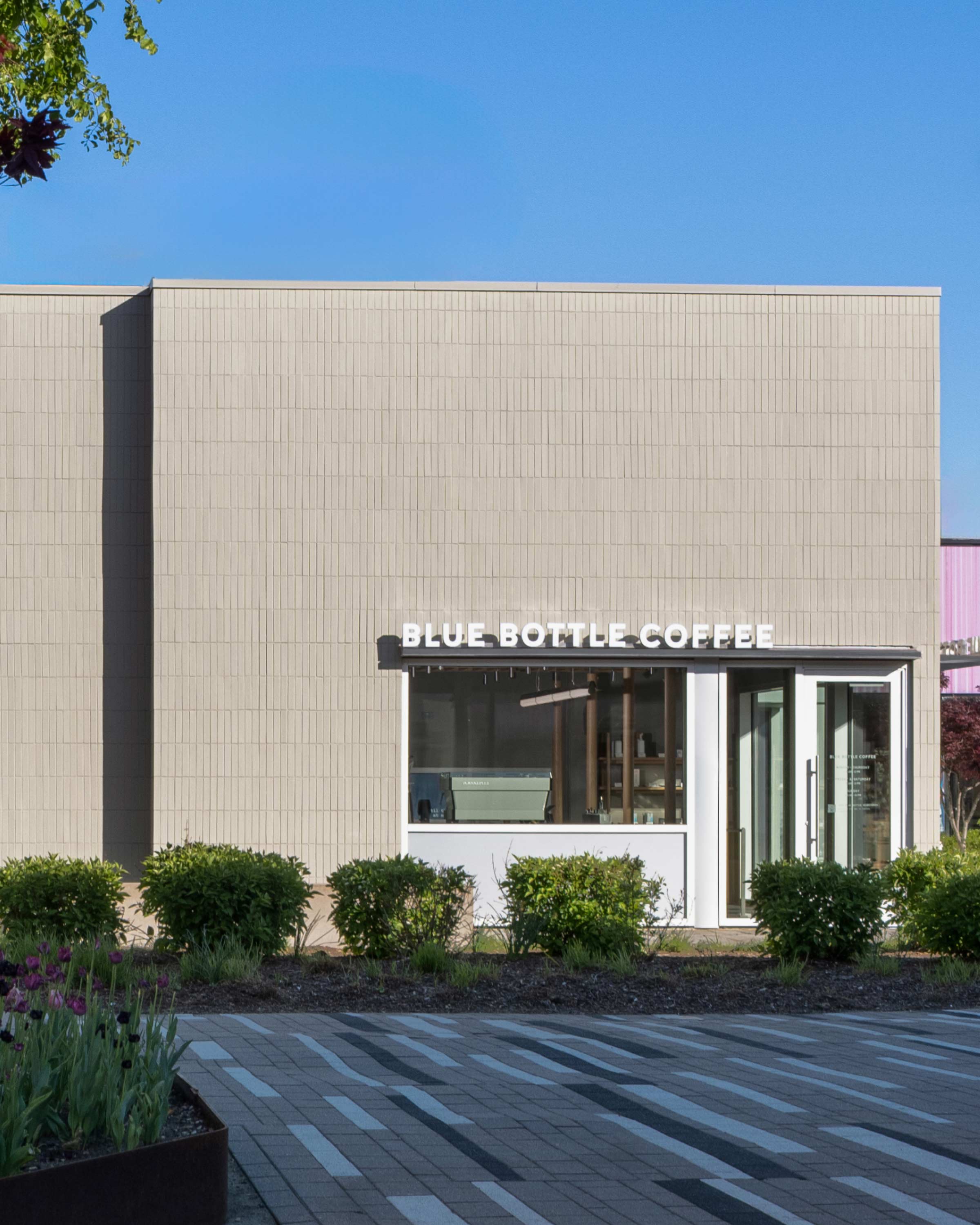 blue bottle coffee dress code Browse Our Cafes Size-US:16 Max35% Zapakasa Women Blue Floral