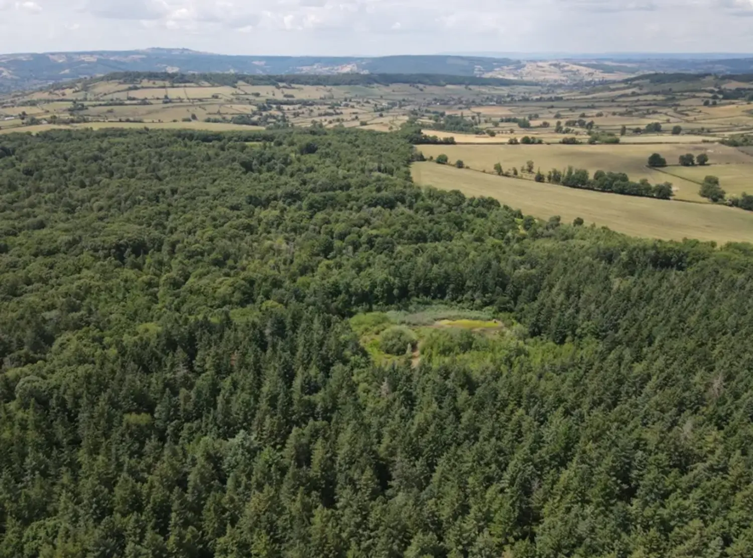Photo de la forêt Bois de Got