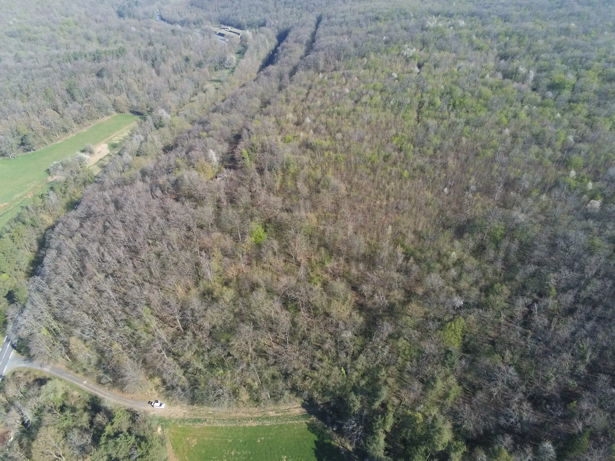 Photo de la forêt Bois du Corrot