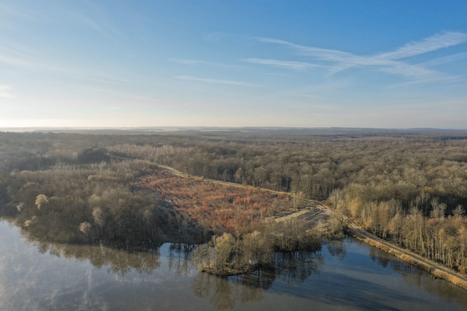 Photo de la forêt Soulaine