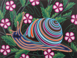 Caracol