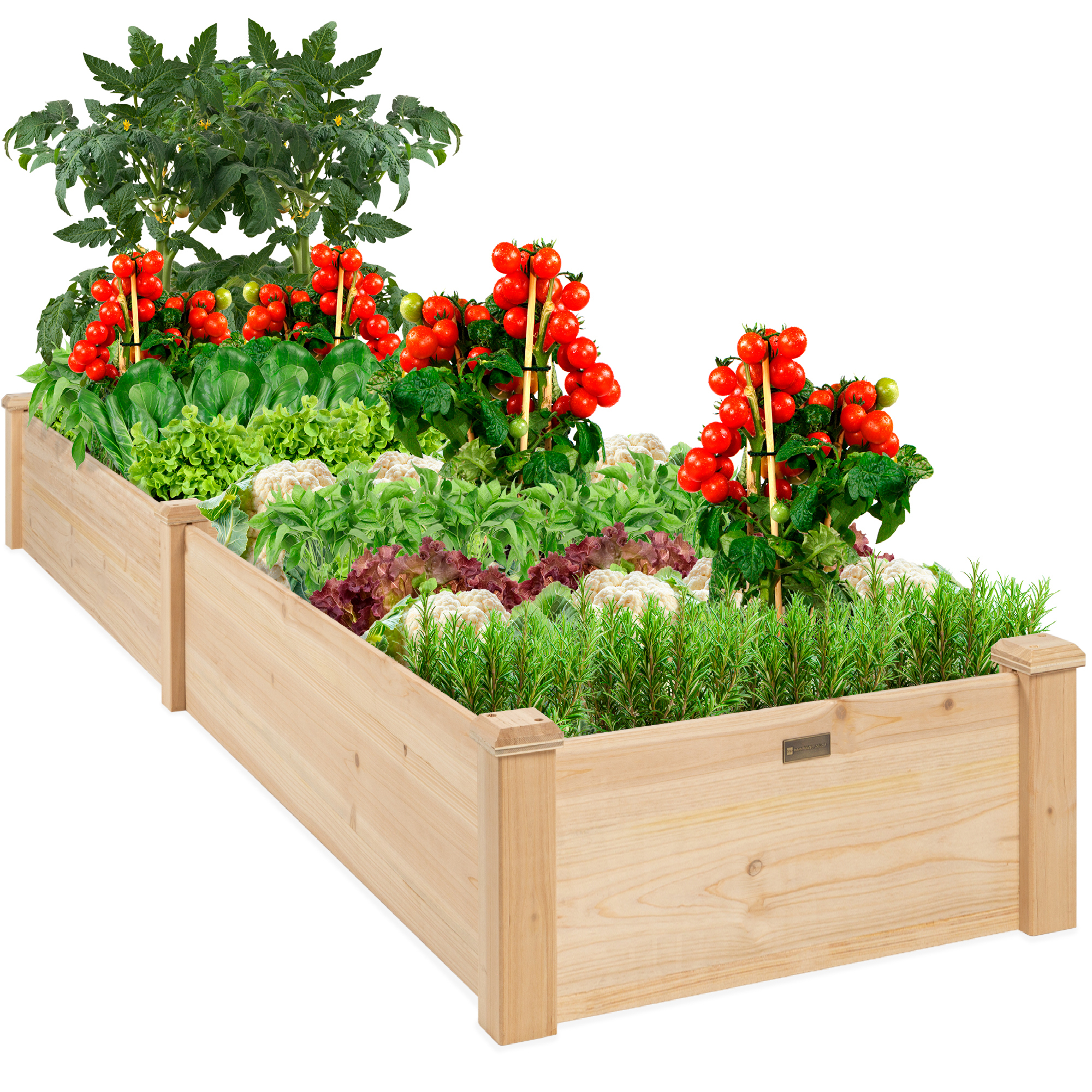 Raised Garden Bed 8ftx2ft, Wood Planter Box For Plants, Vegetables, Outdoor Gardening - Natural | Best Choice Products Online