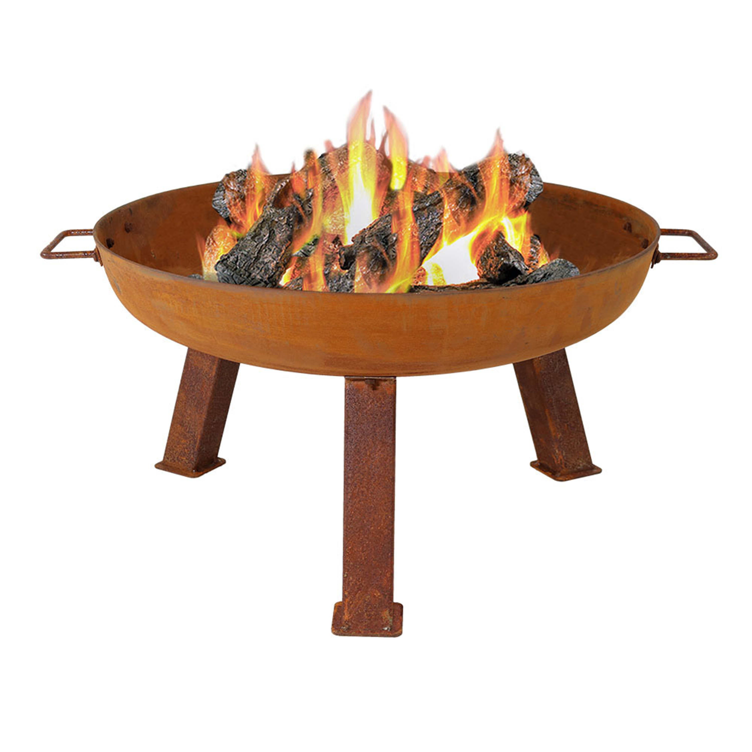 Sunnydaze Rustic Cast Iron Fire Pit Bowl, Rust, 24-Inch