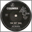 You Got Soul by The Twilights