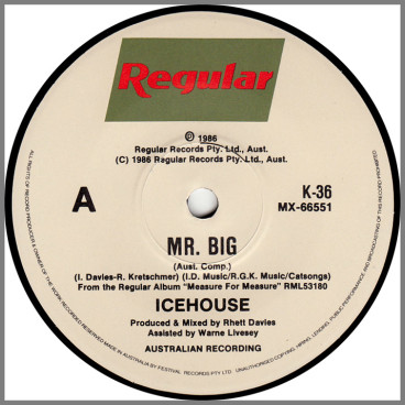 Mr Big by Icehouse (formerly Flowers)