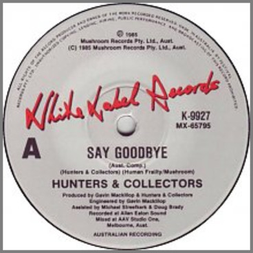Say Goodbye by Hunters & Collectors