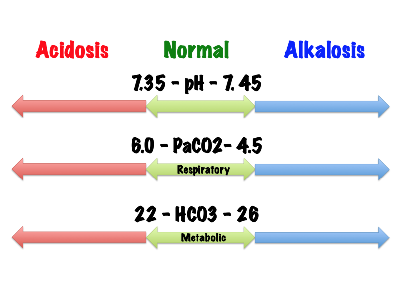 Basic Arterial Blood Gas ABG Interpretation TED Ed