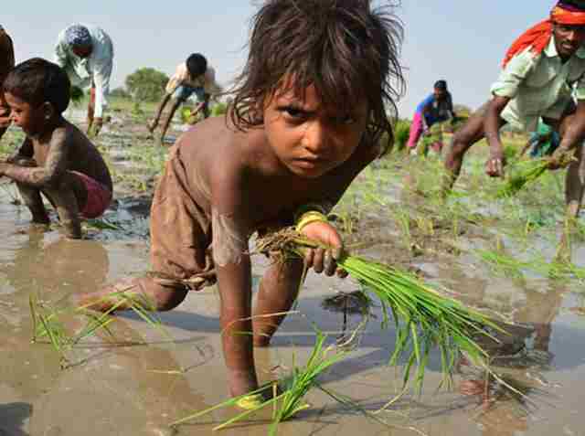 child labour in india in hindi Indian parliament passes contentious child labour bill measure to allow children to work in family businesses while shortening the list of banned jobs for children. child labour in india in hindi Indian parliament passes contentious child labour bill measure to allow children to work in family businesses while shortening the list of banned jobs for children.