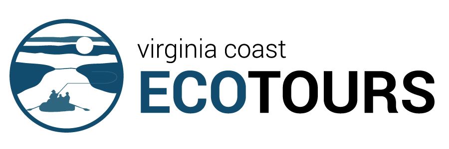 Virginia Coast Ecotours logo