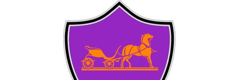 hoianprivatetaxi logo