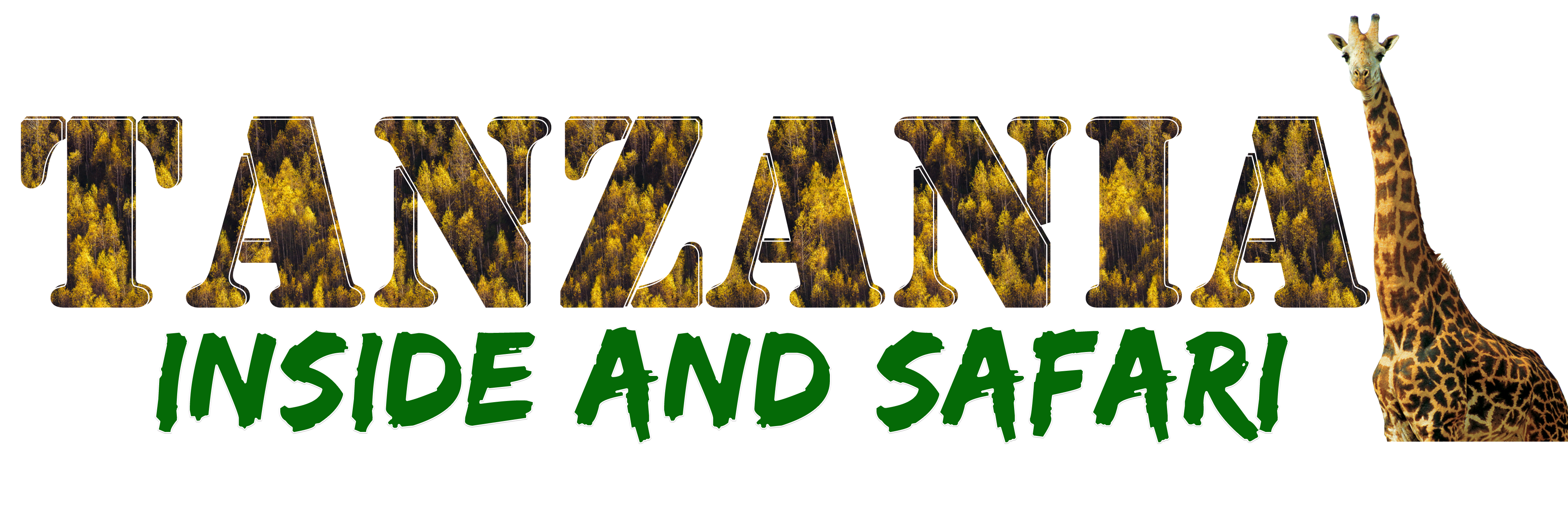 Tanzania Inside and Safari logo