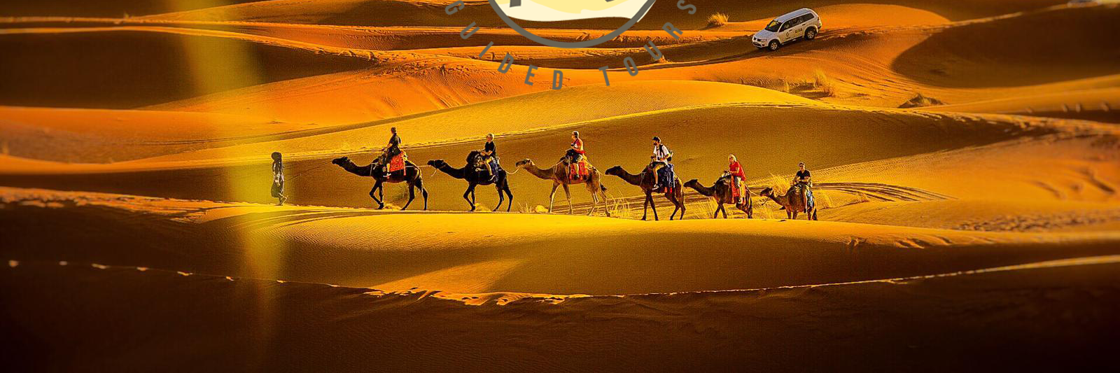Traveling In Morocco Tours logo