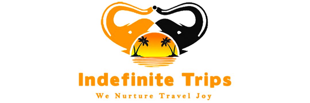 Indefinite Trips Tanzania logo