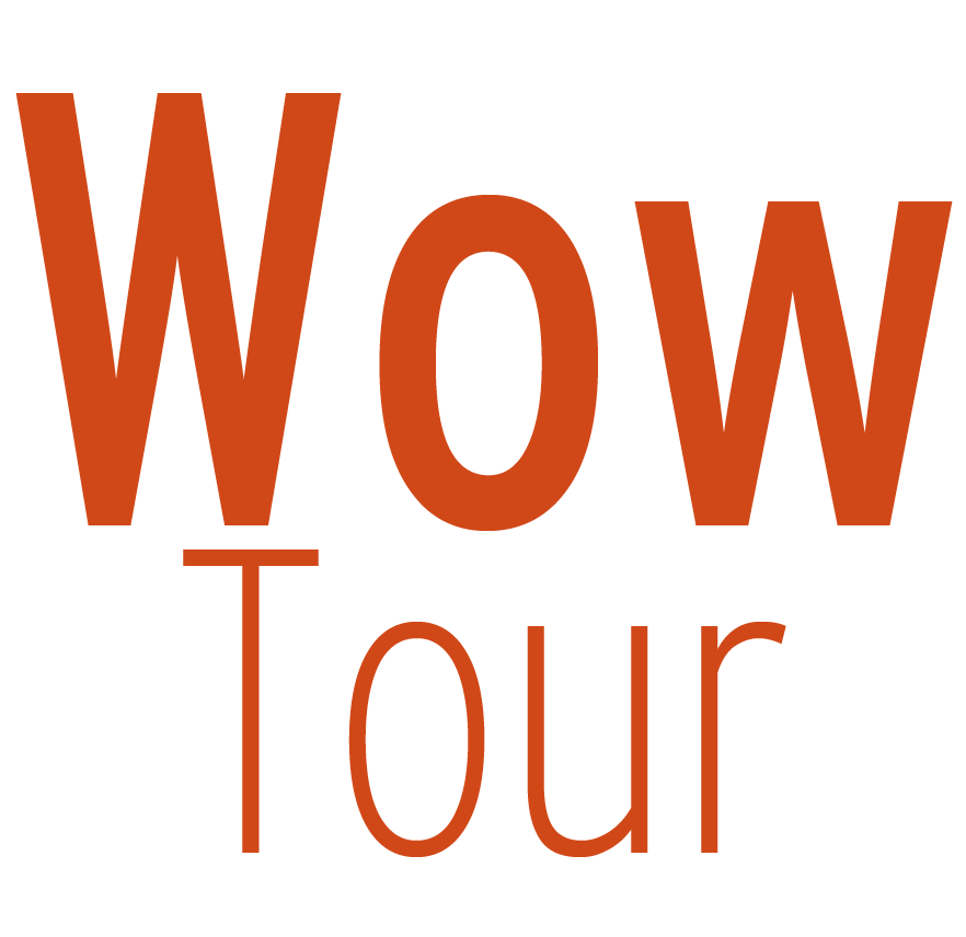 Wow Tour logo