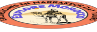 excursiones en marrakech-daytours logo