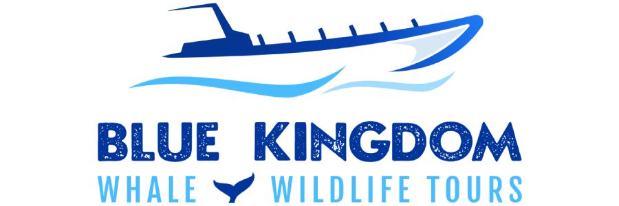 Blue Kingdom Whale & Wildlife Tours logo