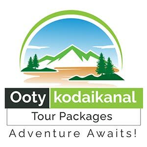 Ooty Kodaikanal Tour Packages logo