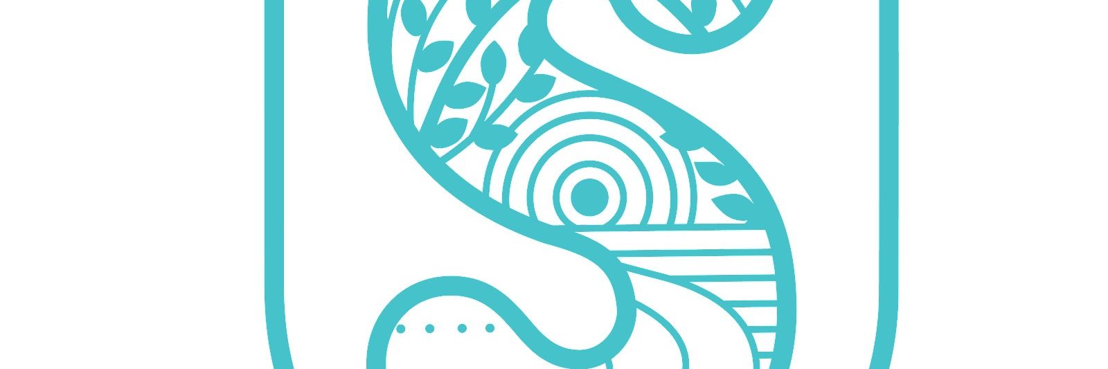 Sustainations Vietnam (VN) logo