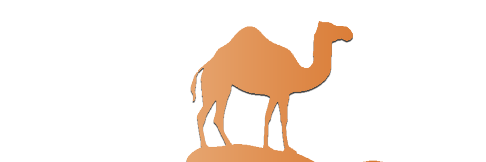 Vintage Morocco Travel logo