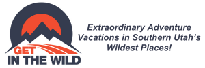 Get In The Wild logo