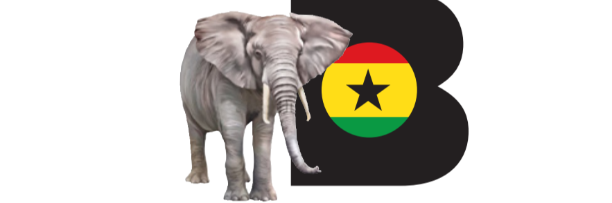 Best Ghana Tours logo