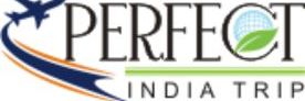 perfect india trip logo