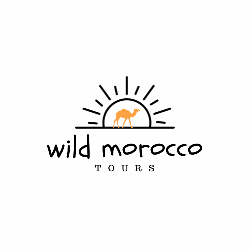 Desert Tour Marrakech logo