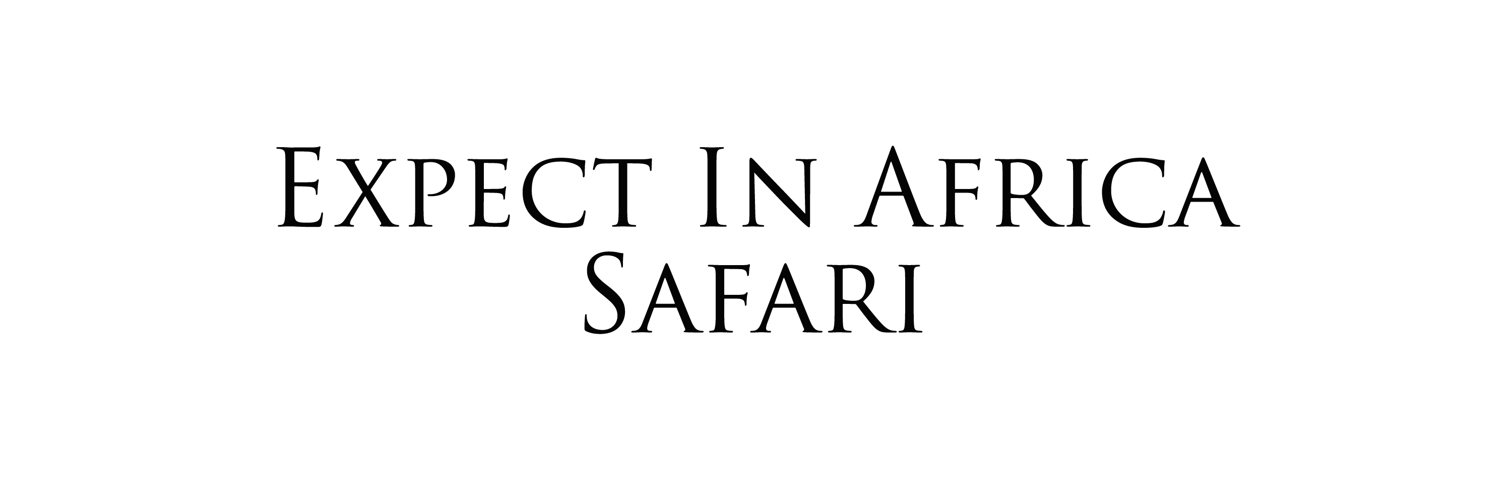 Expect In Africa Safari logo
