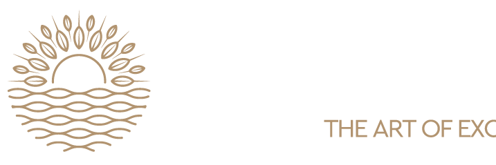 Vacationintopremium logo